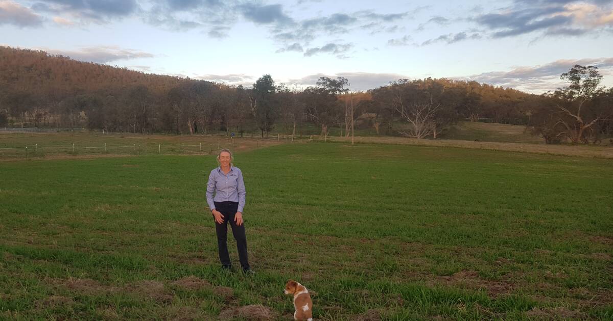 Kylie Reeves will be planting new trees to improve shade, shelter and habitat connectivity to the Grassy Box Woodland in the background.