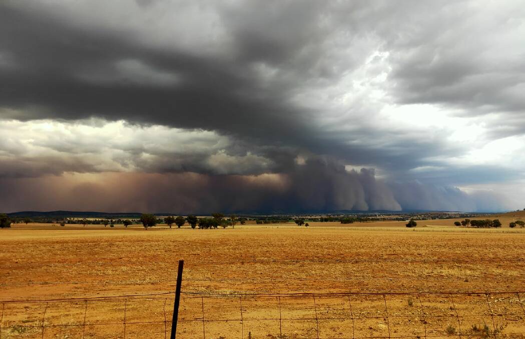 A storm rolling towards Canowindra. Photo by Kirsten Mumberson-Devlin.