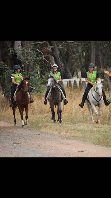The Lachlan Endurance Riders are headed to Roseberg Forest. File photo.