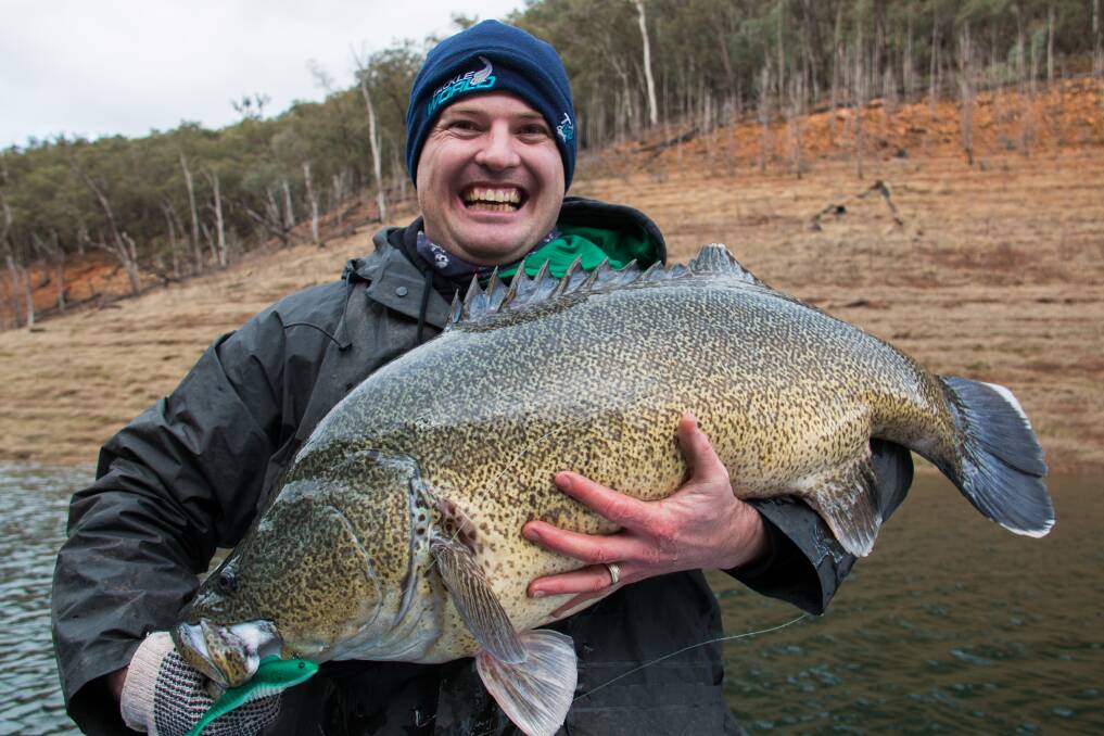 A happy angler with one of Blowering’s trophy-sized Murray Cod before the giant fish was carefully released. Image courtesy of Rhys Creed, Social Fishing.