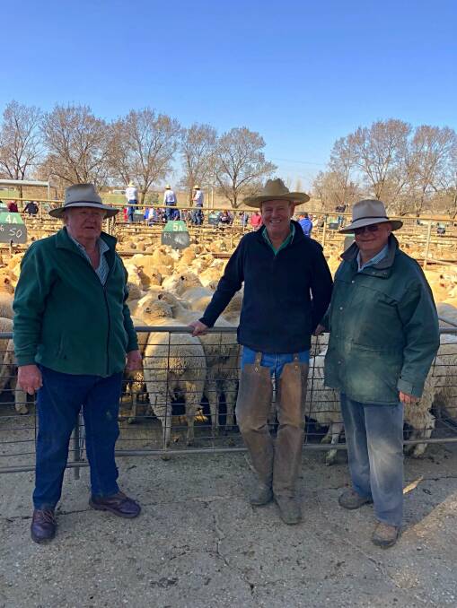 Kevin Wright, Craige Oliver and James Keady with the record breaking pen of lambs at the Cowra saleyards on Friday.