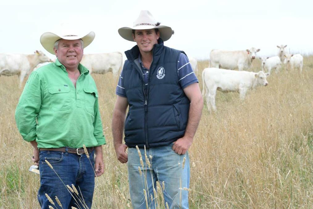 Michael and James Millner from Rosedale Charolais near Blayney. Michael Miller has been appointed president of the Royal Agricultural Society of NSW.