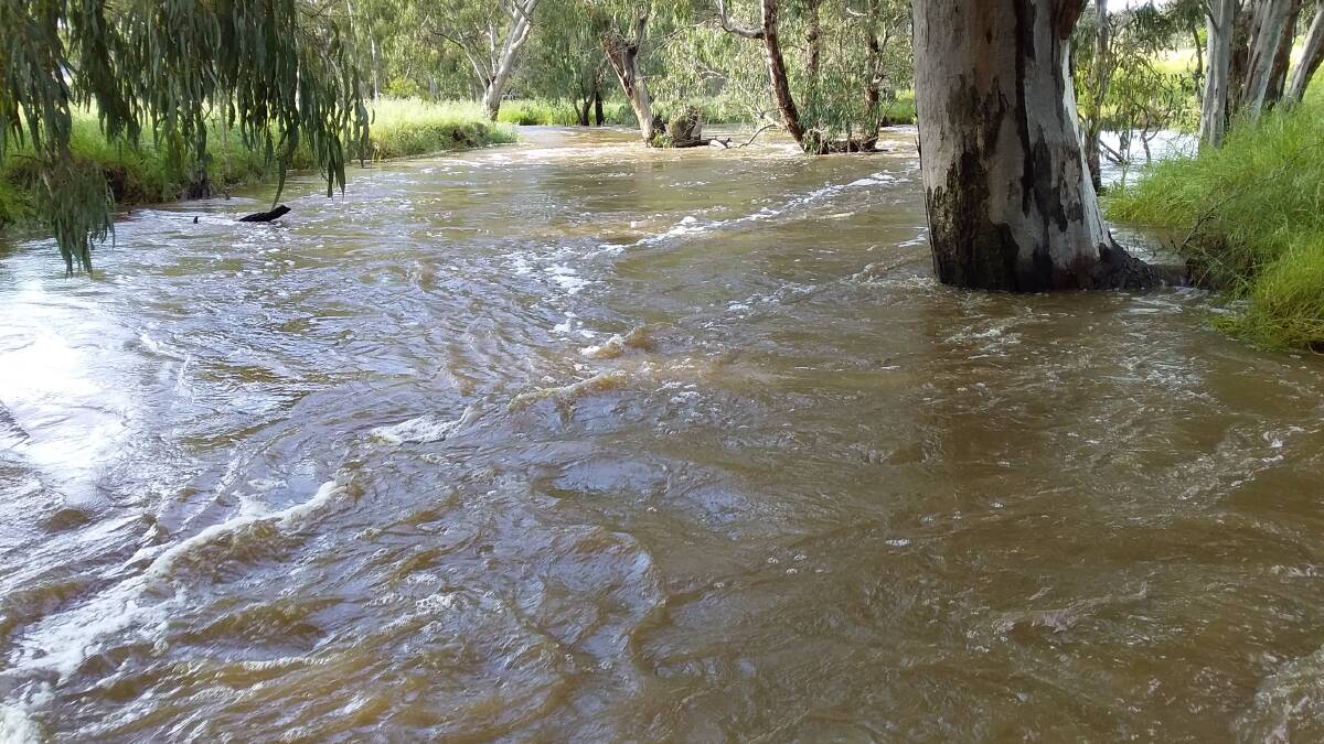 Hovells Creek in flood in the Upper Lachlan mid November.