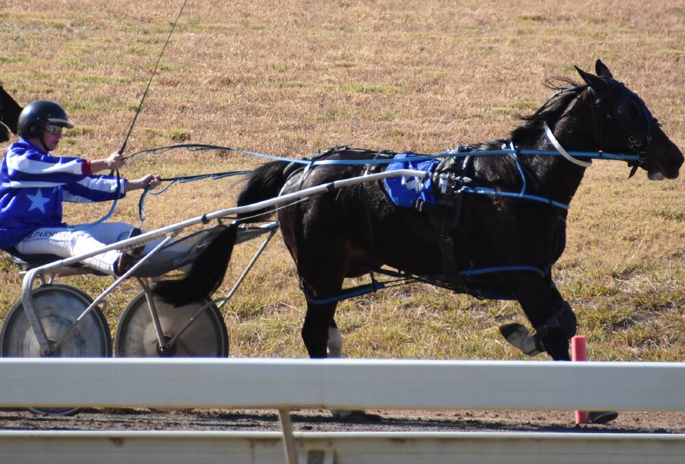 Cowra driver Monique Parsons and trainer Shannon Rye have three horses engaged. File photo.