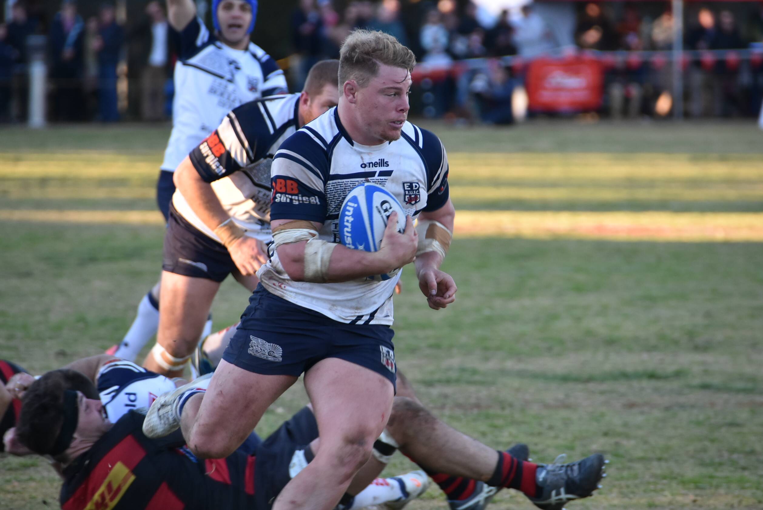Shute Shield to return to the Cowra Rugby Club Cowra Guardian Cowra, NSW