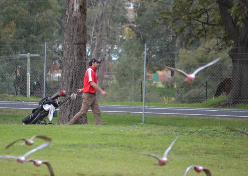 Mark Dixon in search of a birdie during last weekend's Matchplay championships.
