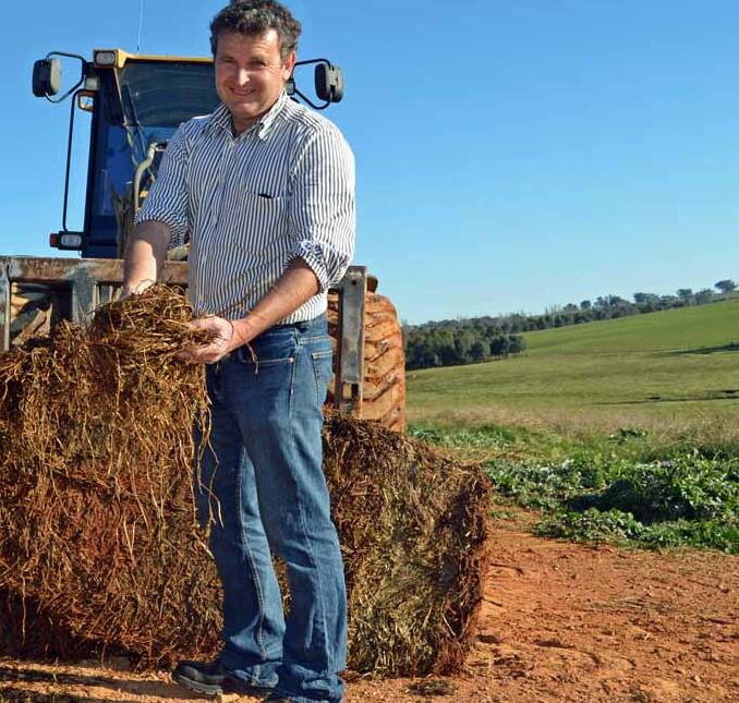 Senior Local Land Services officer Phil Cranney is hosting a workshop for farmers in Canowindra on Monday, August 13.