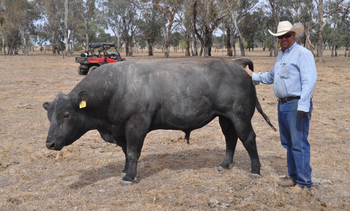 James Morse, "Wongalee", Molong,will speak at the AgriBusiness Forum in Cowra this week.