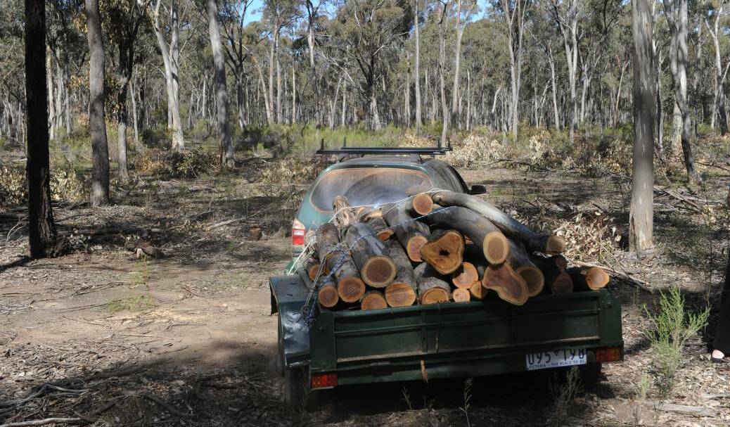 A man was fined $30,000 for illegally collecting firewood in the Murrumbidgee Valley National Park