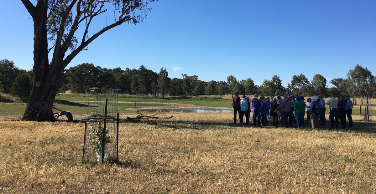 The Hovells Creek Landcare Group meet in the shadow of a distressed tree.