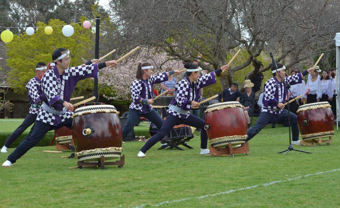 The Taiko Drummers will be back to perform at this year's Sakura Matsuri Festival. Photo by Lizz Dobson. 