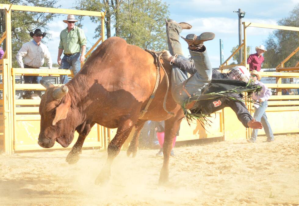Rodeo action at the Cowra Show in 2017. File photo. 