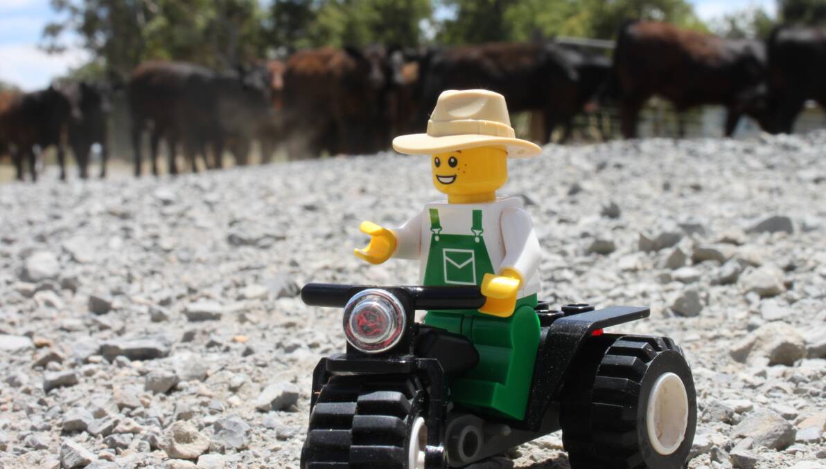 The Lego Farmer may be some inspiration for the Morongla Show. Photo: Aimee Snowden/The Land