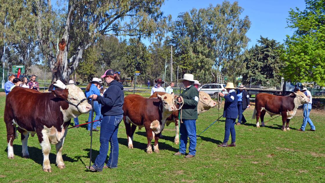 Cowra Show Society introduces awards for students