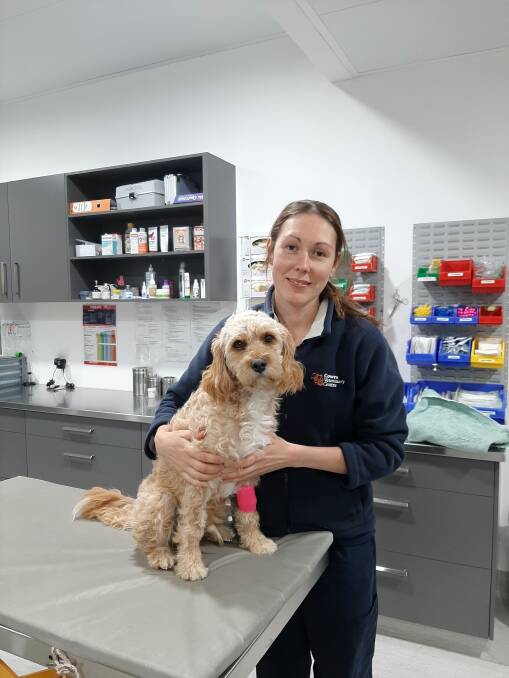 Adilee Allan, a Cowra resident and qualified Vet Nurse at Cowra Veterinary Centre, wanted to develop the skills to be able take the next step in her career. 