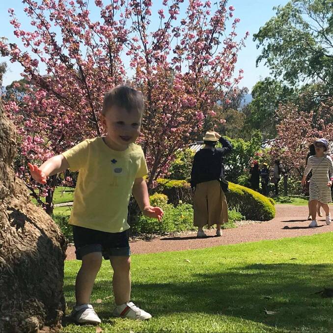 Theo Nightingale explores the Cowra Japanese Garden after a visit earlier this month. Photo: Jessica Nightingale 