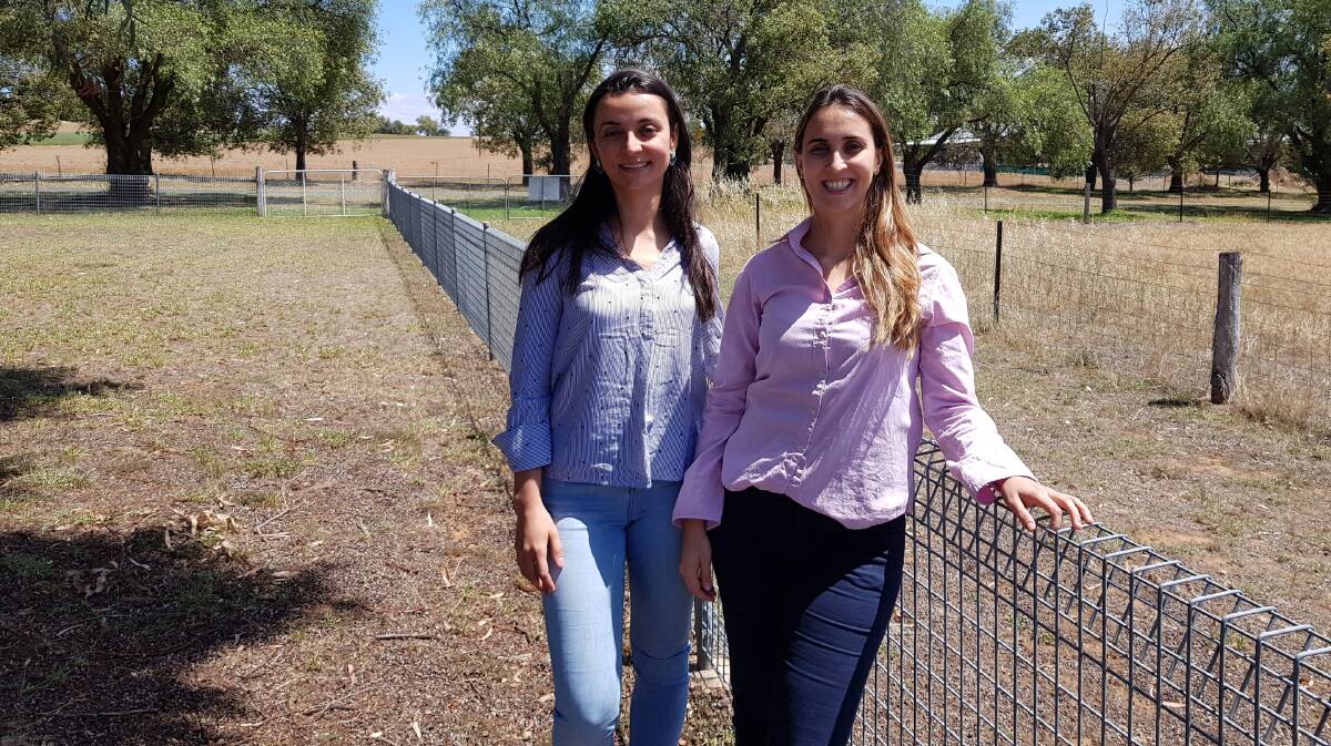 PhD student Carolina Naves Aroeira and Tharcilla Alvarenga from NSW DPI. 