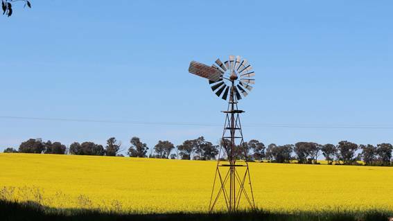 Cowra Tourism is in full bloom