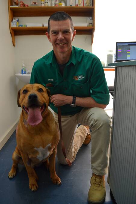 Cowra Veterinary Centre practice owner Dr Peter Launders with Hannah. Veterinarians around Australia are encouraging pet owners to get their animals desexed.  