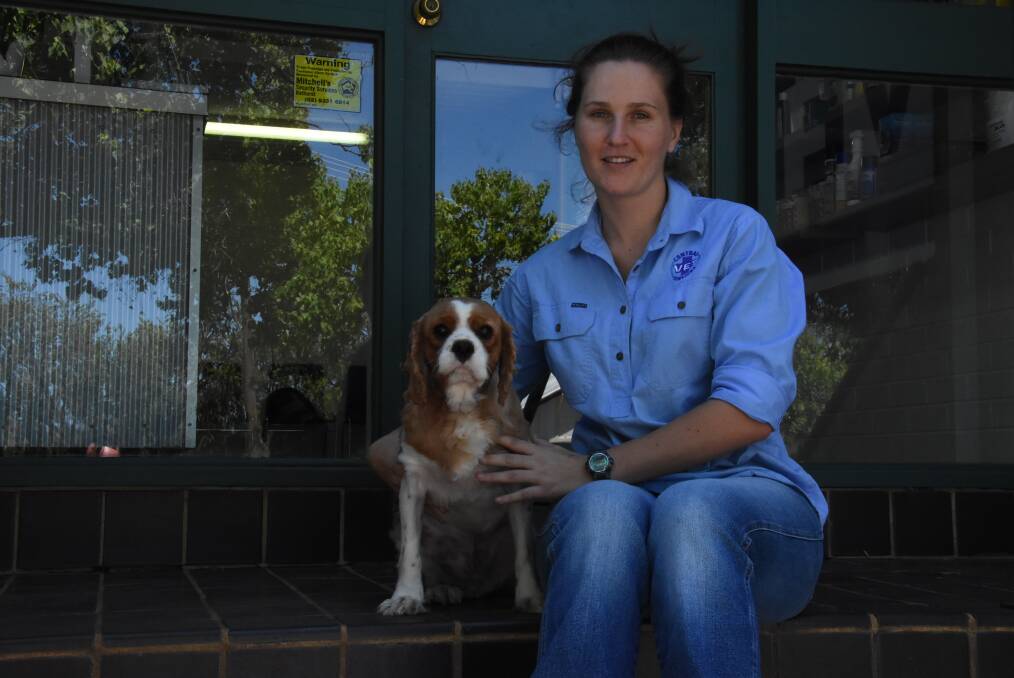Rubble with vet Mariné Venter at Central Veterinary Services. 
