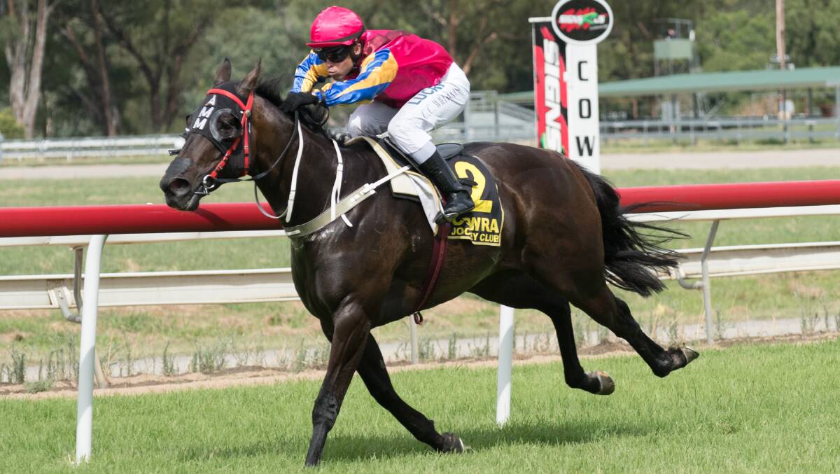 Zarhron returns from an eight-month spell at Narromine on Monday after being nominated by trainer Andrew Molloy. 