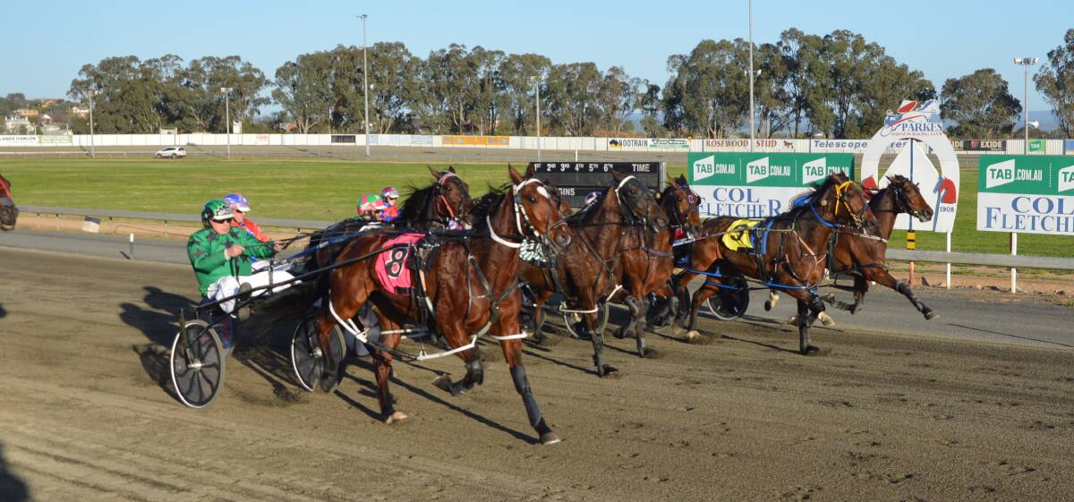 GOOD NEWS: Parkes Harness Racing Club has announced punters will finally be allowed back on course in this Sunday's meeting. Patrons will be hoping to see some close finishes like this one on August 30. Photo: Kristy Williams. 