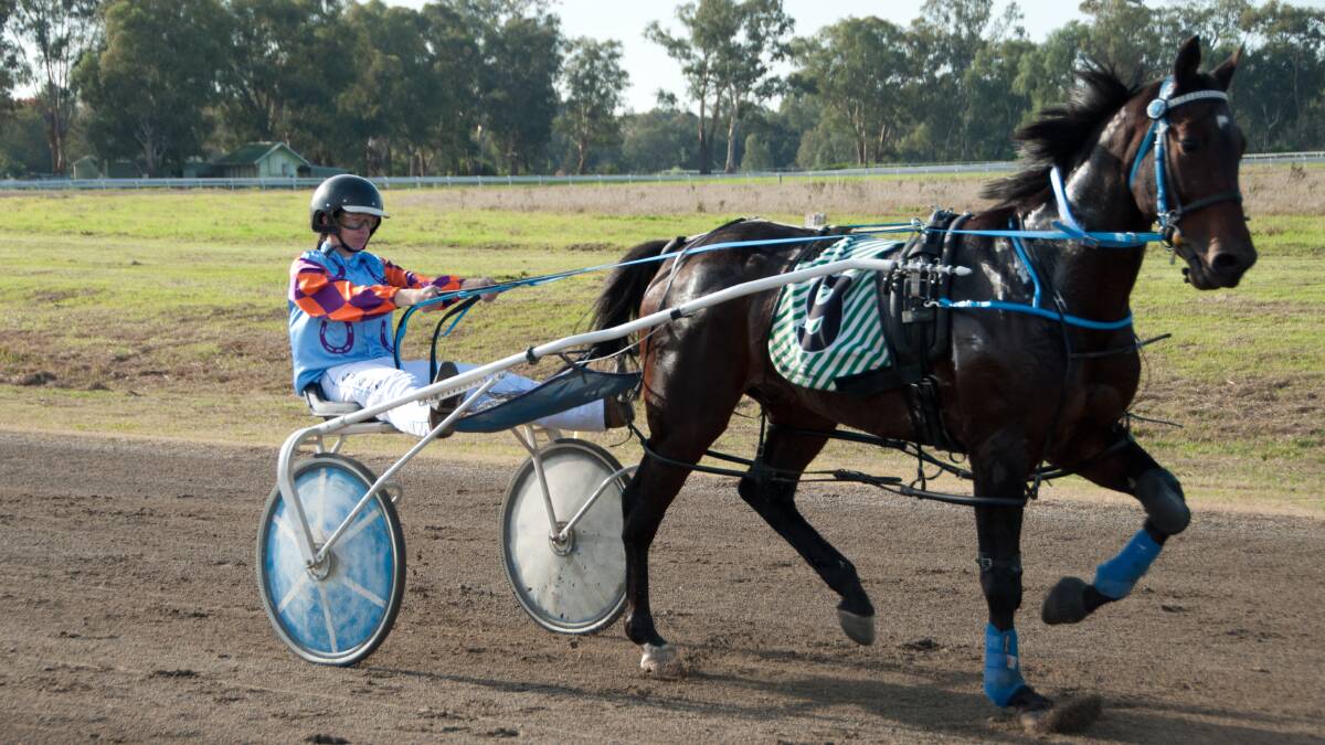 Monique Parsons, pictured in the gig at Cowra Paceway, steered It's A Shakedown to victory on Wednesday night.