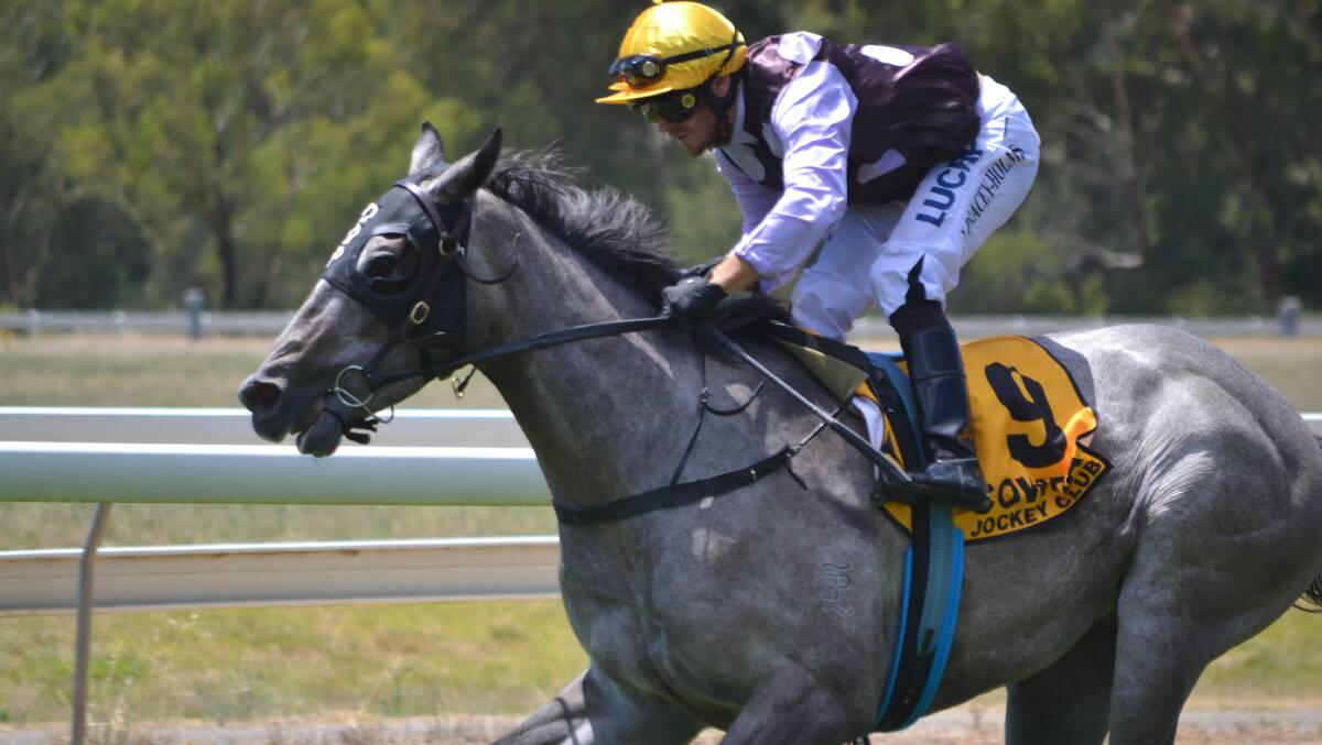 Raise A Drop wins at Cowra on January 21. He's nominated for this Sunday's $150,000 Country Championships Qualifier (1400m) at Mudgee.