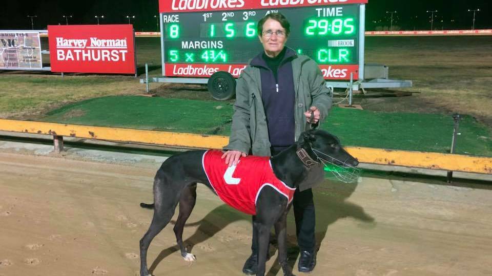 Double Up Dee pictured with trainer Pamela Braddon after a win at Bathurst's Kennerson Prak earlier this year. Photo: Bathurst Dogs