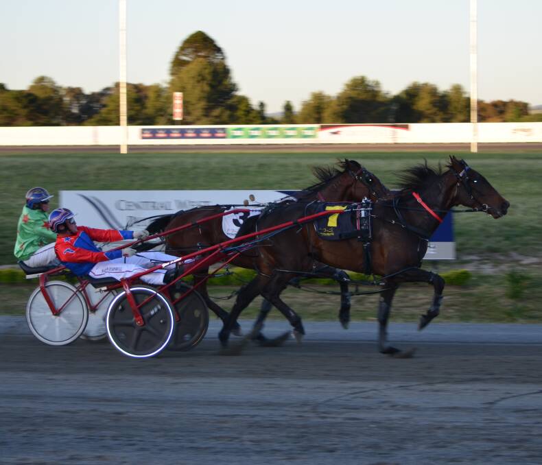 It's A Shakedown pictured taking out a race at Bathurst Paceway earlier in her career. Photo: Anya Whitelaw