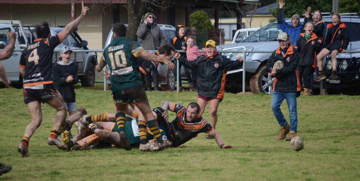 JOYOUS: A jubilant Canowindra crowd celebrates Jayden Brown's try to tie the match. Photo: LACHLAN HARPER 