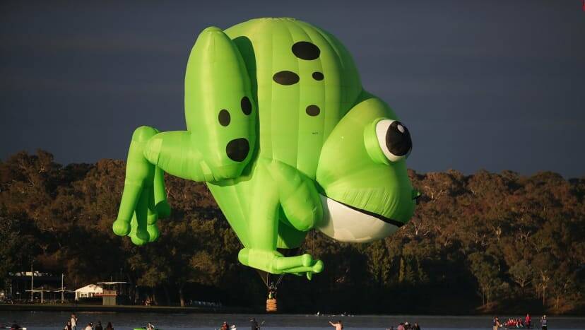 Kermie the frog will make his Canowindra debut this year and will be one of the unique special shaped balloons on display.