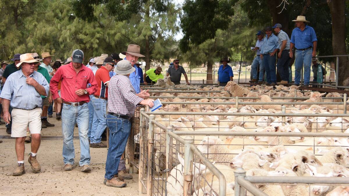 NSW lamb producers would get an estimated $10 million boost to annual returns with changes to the definition.
