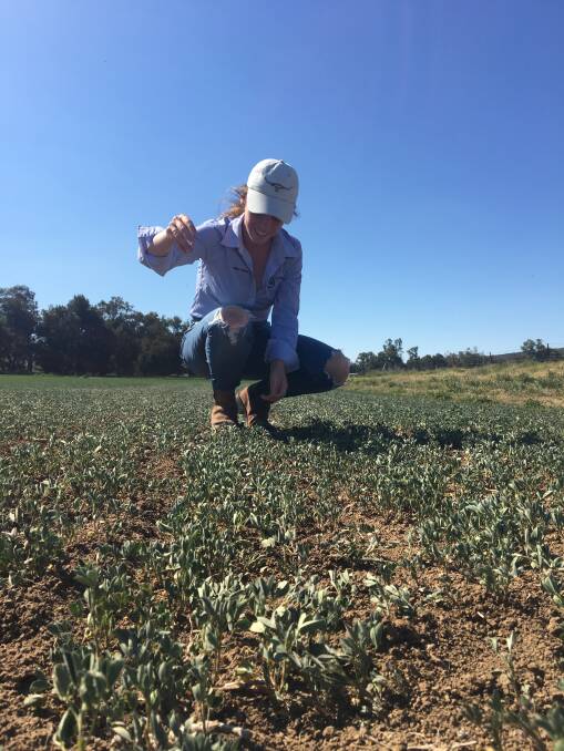 Canowindra's Meg Austin will be one of our regions attendees at the UNICEF NSW Youth Summit on Living with Drought.