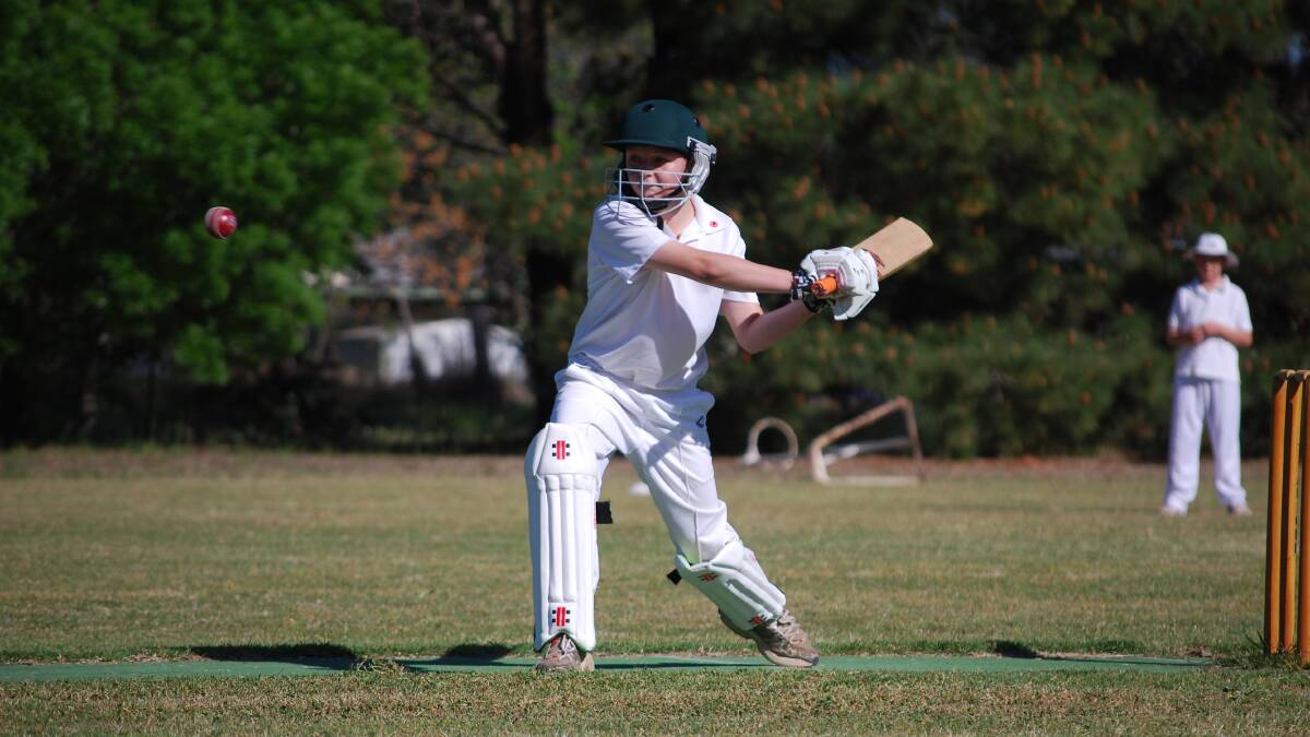 Calling all of Cowra’s junior cricketers