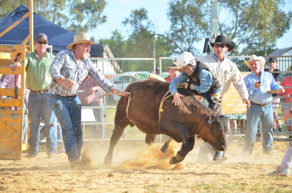 Rough Rider: There will be plenty of action and spills at this years Cowra Show Rodeo. Photos: Lizz Dobson and Matt Chown.
