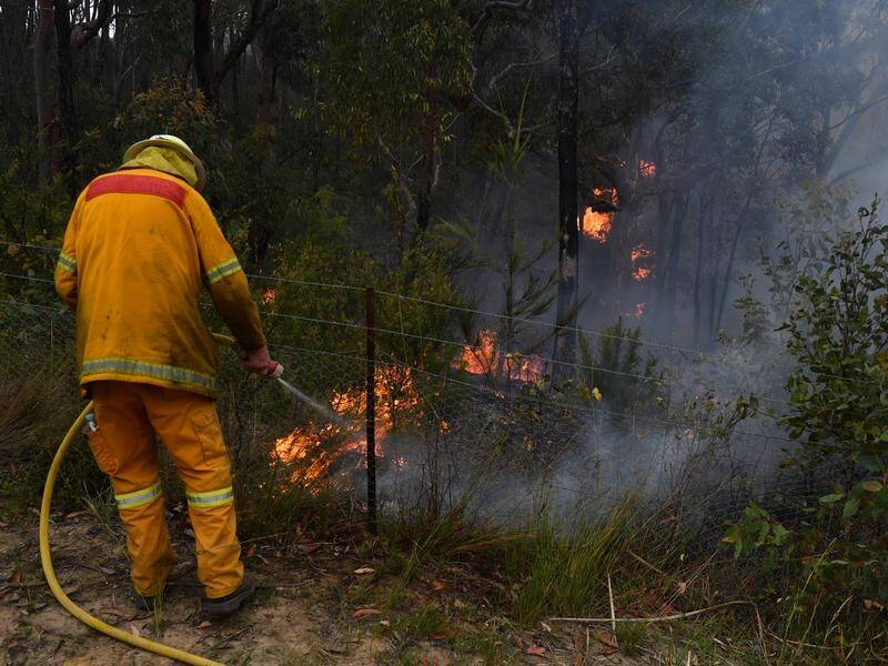 Backburning will play a big part in limiting the effect of bushfires this summer. Image: File.