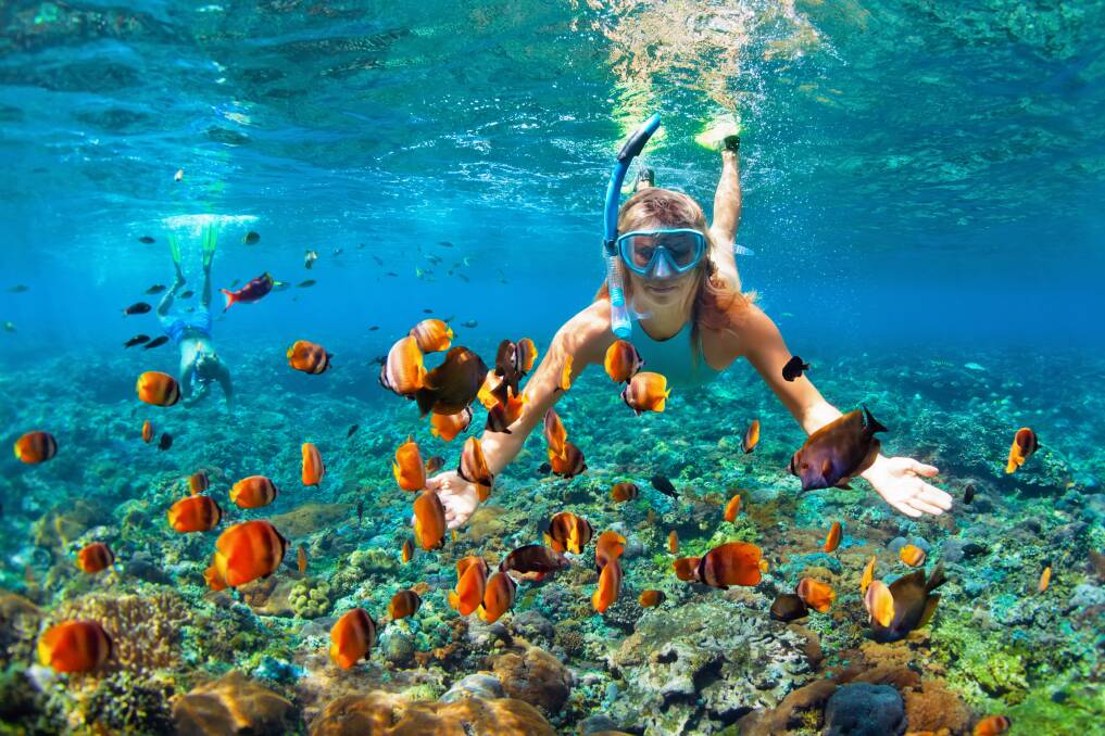 Below the surface: Diving isn't just for the Great Barrier Reef, there are many more snorkeling and diving options across the country. Photo: Shutterstock.
