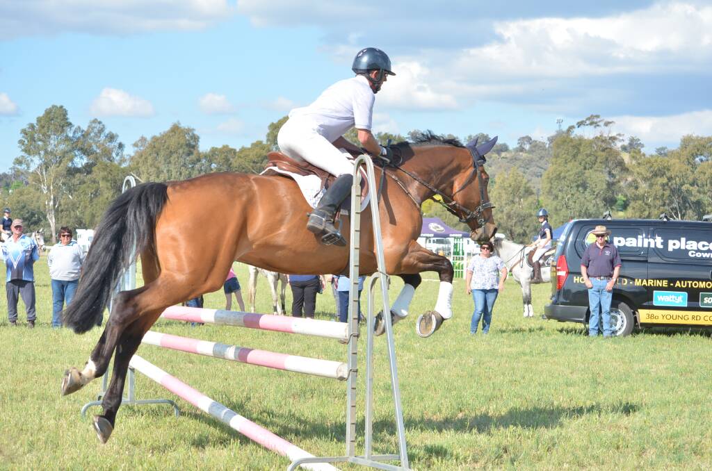 Up and over: Showjumping will feature heavily at this years Cowra Show along with many other animal events and stock judging. Photos: Lizz Dobson and Matt Chown.