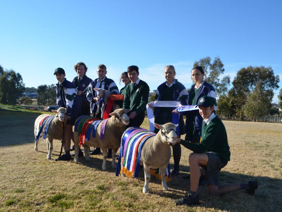 2018 Champion School: Riverina Agricultural College, operating under their stud banner Boorooma TRAC had great success at the 2018 Championships. Photo: File