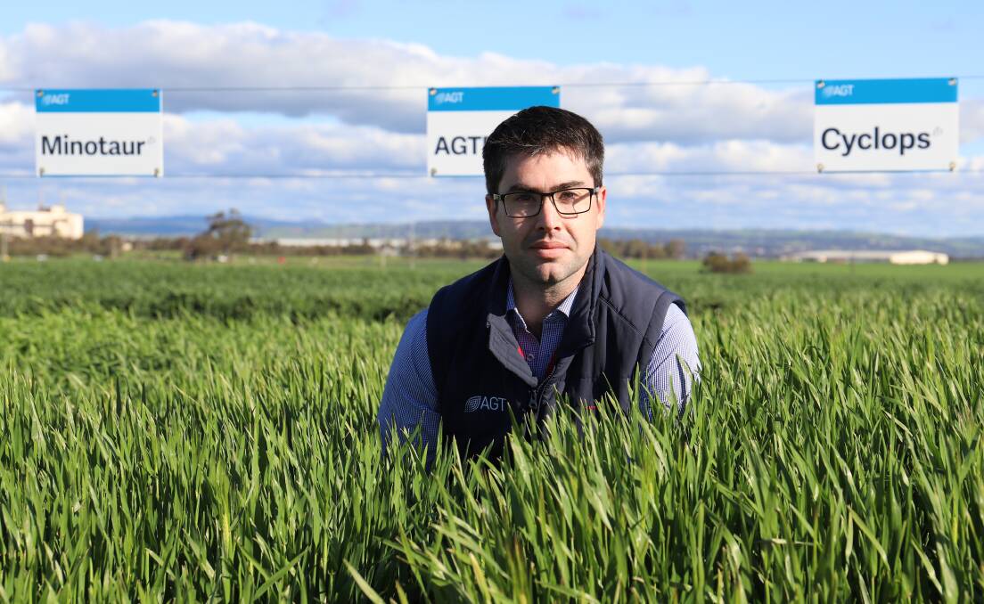 Barley breeder Paul Telfer said trials show the two new releases deliver exceptionally high yields. Picture: Supplied