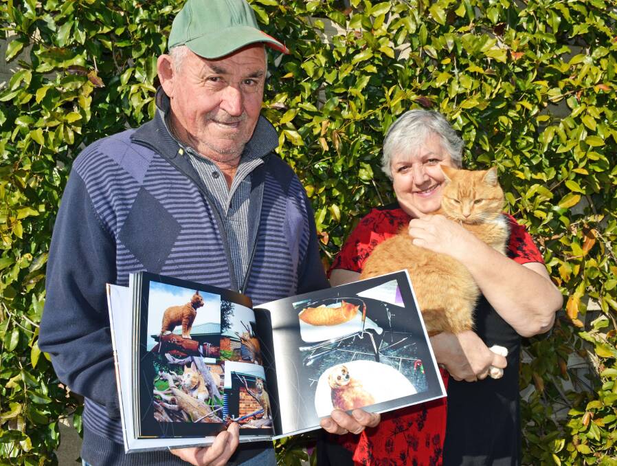 After being rescued from between the walls at the Cowra Medical Clinic last year, Garfield has made himself very at home with John and Ilse Loebler- including making his way into a photo album book.