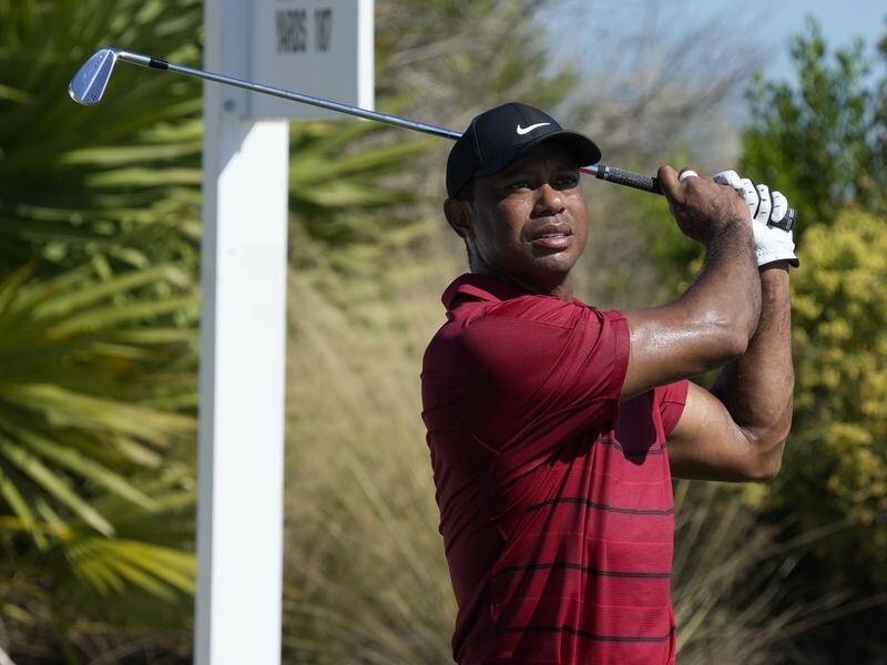 Tiger Woods says his World Hero Challenge performance has given him renewed confidence. (AP PHOTO)