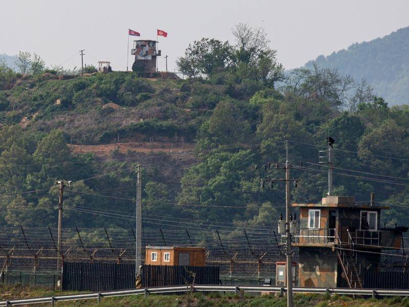 A report has found both Koreas were at fault over an exchange of gunfire on the border in May.
