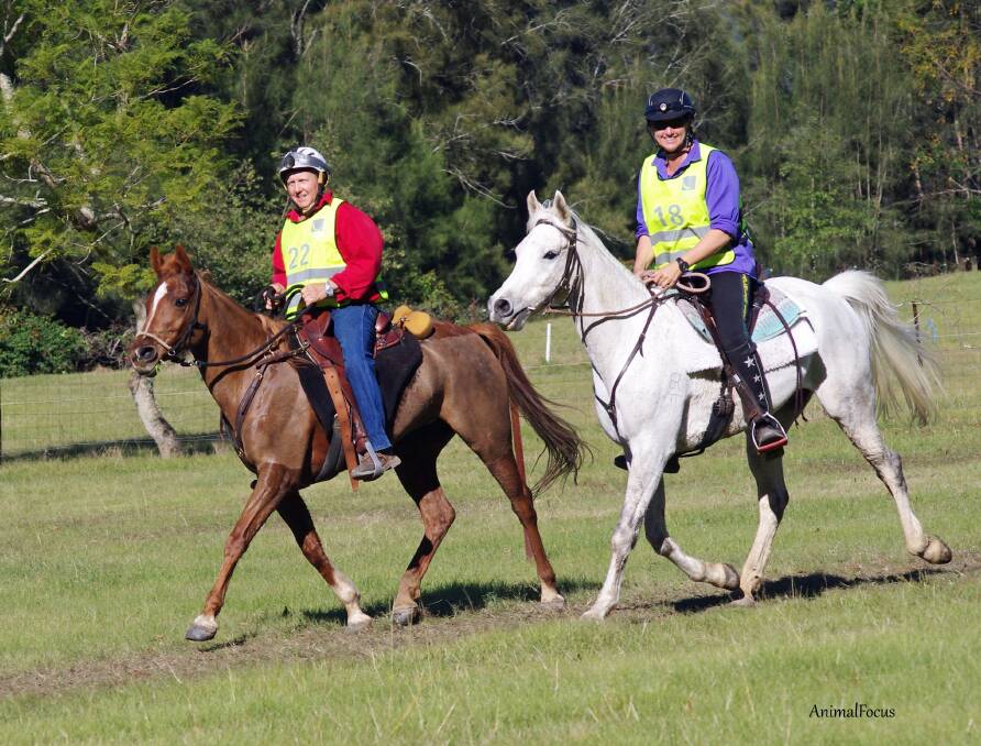 Kevin Guihot riding Shelly and Donna Tidswell riding Billy coming in off the third leg after 114kilometres. Photo by Jo Alblaster of Animal Focus.