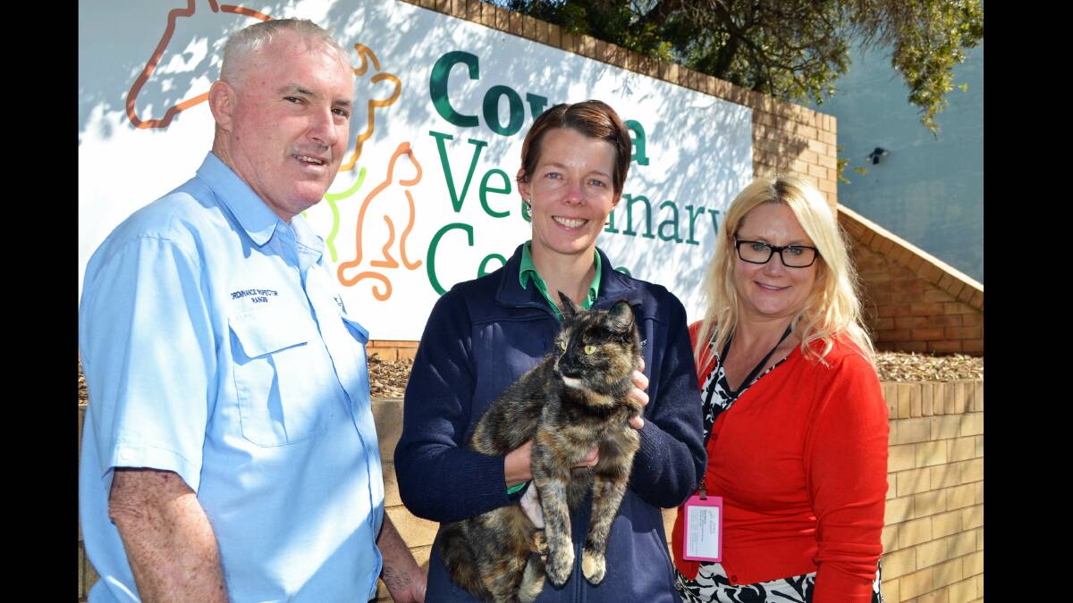 Cowra Council's Michael Ryan and Kate Alberry (right), along with Cowra Veterinary Centre's Kellie Seres are hoping this cat will be adopted into a loving home.
