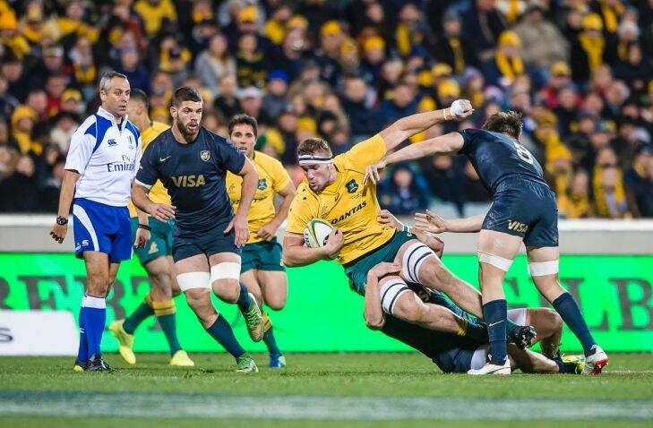 Wallabies' Izack Rodda is tackled during the Rugby Championship's fourth round clash between Australia and Argentina at Canberra Stadium. Photo: Sitthixay Ditthavong