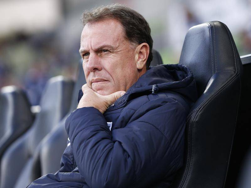 Alen Stajcic was sacked as Matildas coach five months before the women's World Cup in France.