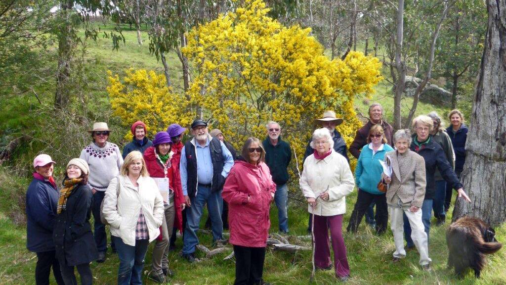 Wattle Day at Mokhinui Vineyard in Young last year.