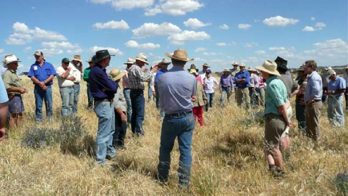"One of the main benefits of Landcare groups is simply getting people together to talk about their issues," says Mid Lachlan Landcare Chair Lawrence Balcomb. Contributed photo.